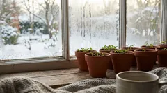 Helmikuun kylvö Suomessa: milloin se kannattaa ja milloin se kostautuu