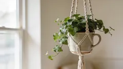 Vanhoista mukista tehdyt kasvit: kodikas sisustus yhdessä illassa